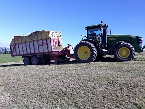 Contractor chopping Barley/grass mix